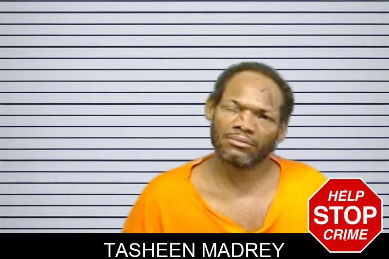 Tasheen Madrey mugshot