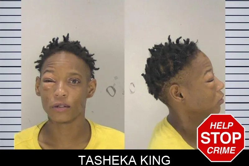 Tasheka King mugshot