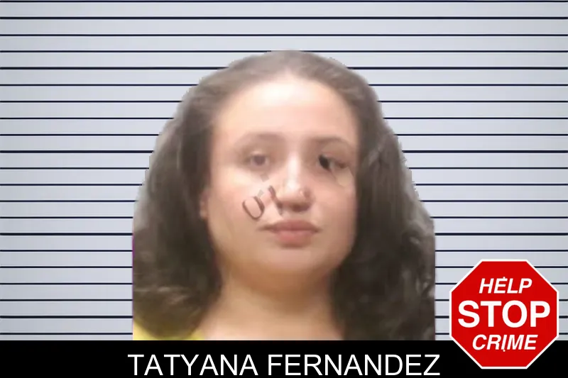 Tatyana Fernandez mugshot
