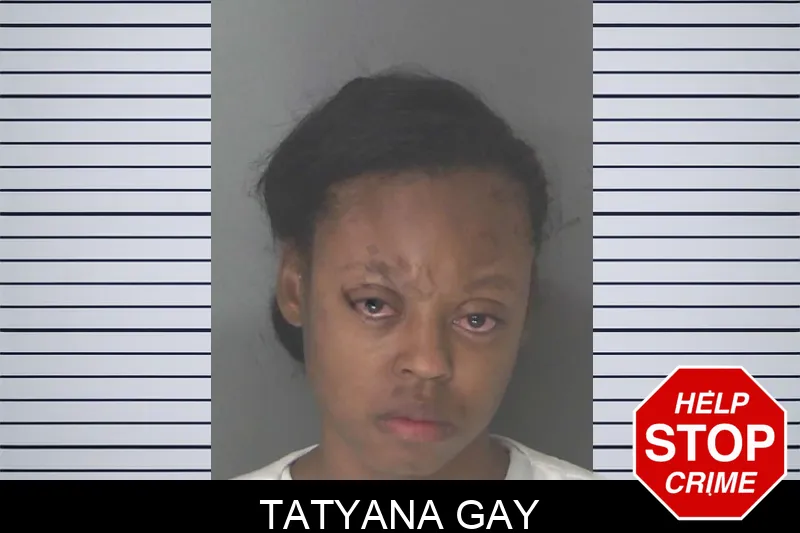 Tatyana Gay mugshot