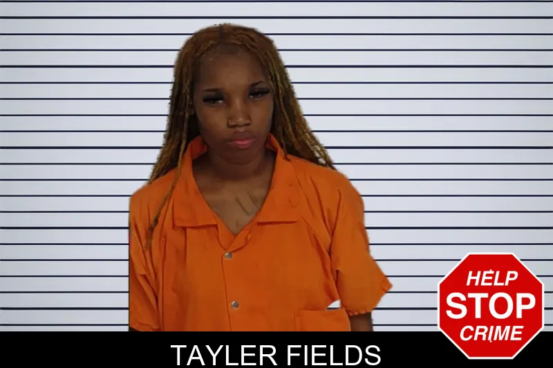 Tayler Fields mugshot