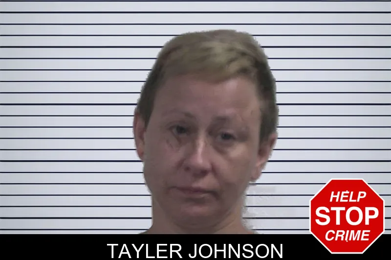 Tayler Johnson mugshot