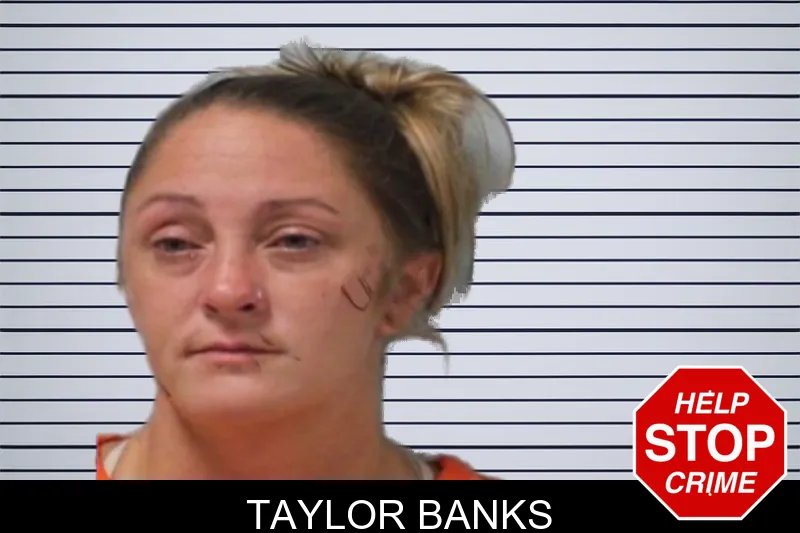 Taylor Banks mugshot