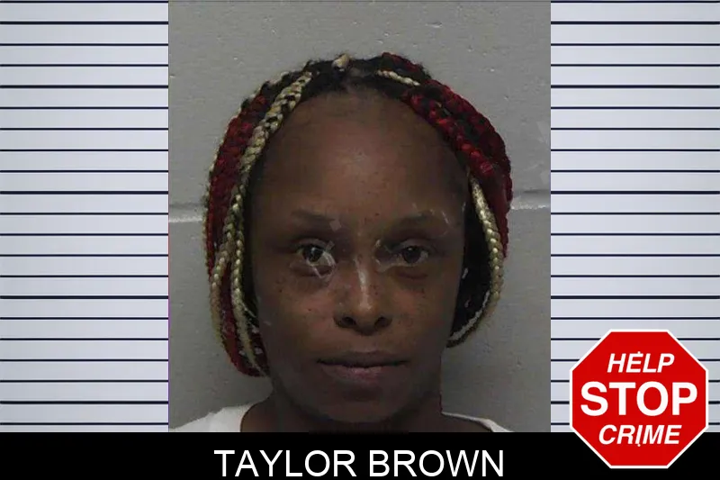 Taylor Brown mugshot