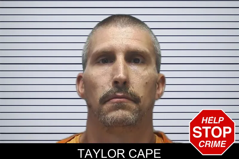 Taylor Cape mugshot