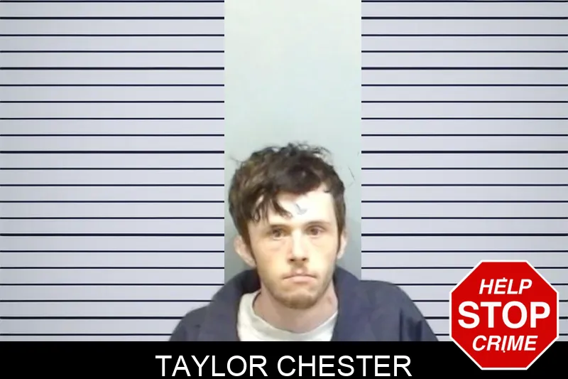 Taylor Chester mugshot