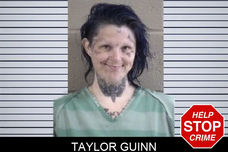 Taylor Guinn mugshot