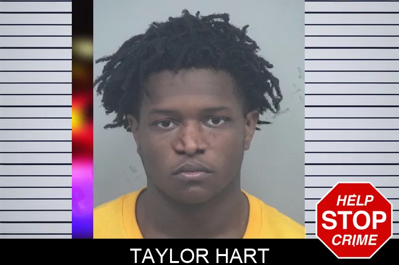 Taylor Hart mugshot