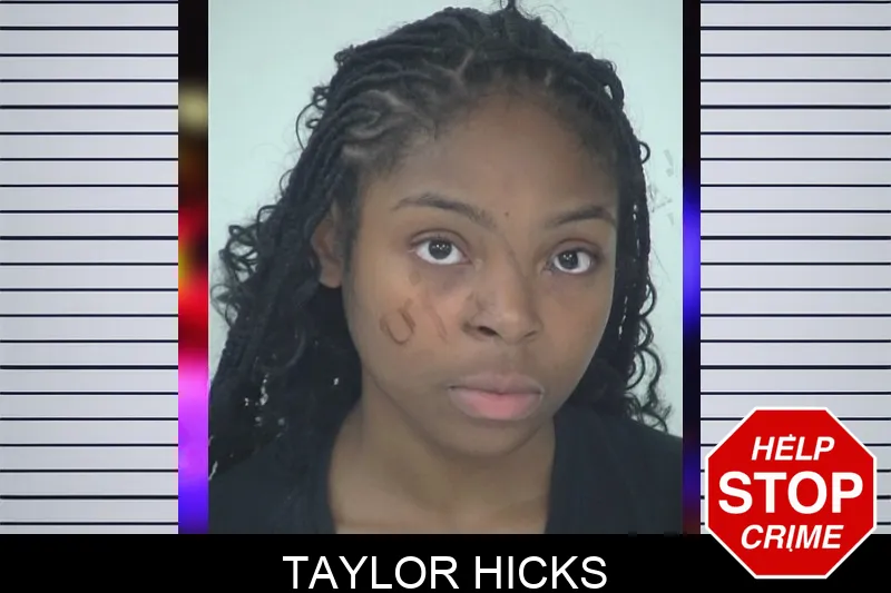 Taylor Hicks mugshot