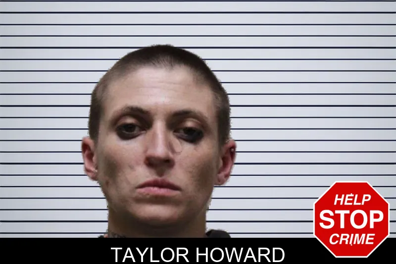 Taylor Howard mugshot