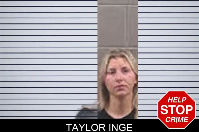 Taylor Inge