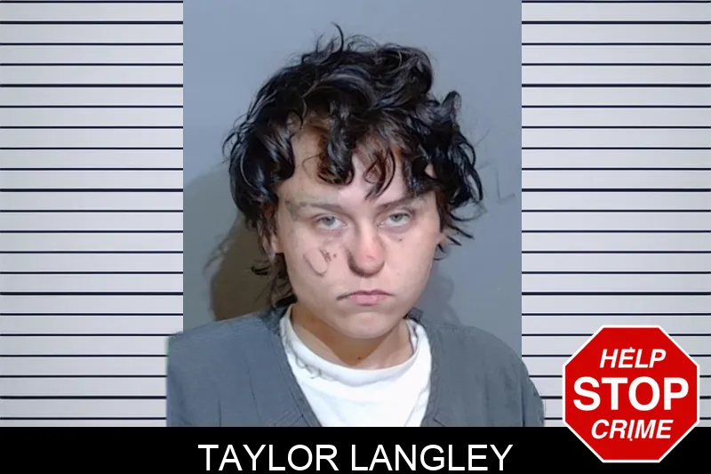 Taylor Langley mugshot
