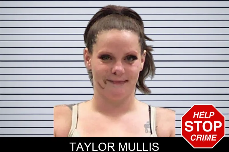 Taylor Mullis mugshot