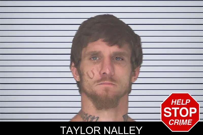 Taylor Nalley mugshot