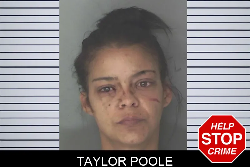 Taylor Poole mugshot