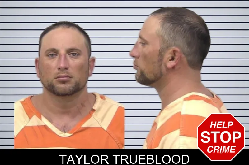 Taylor Trueblood mugshot