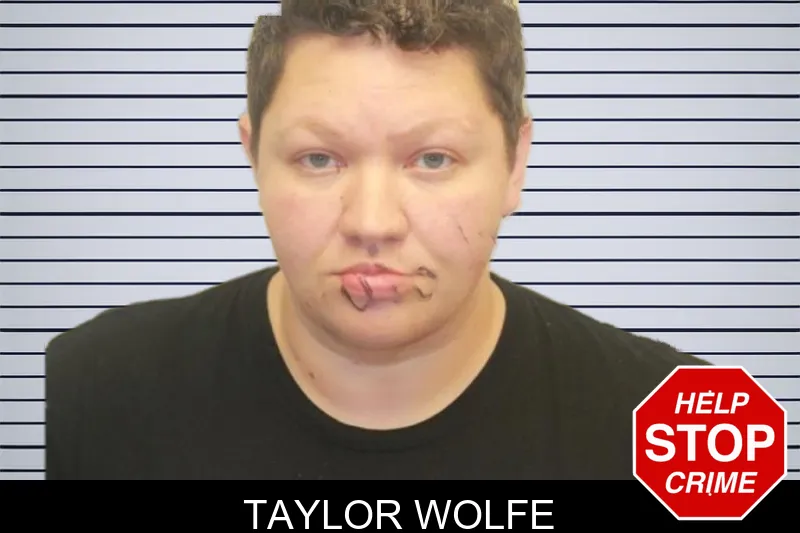 Taylor Wolfe mugshot
