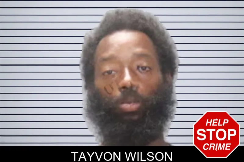Tayvon Wilson mugshot