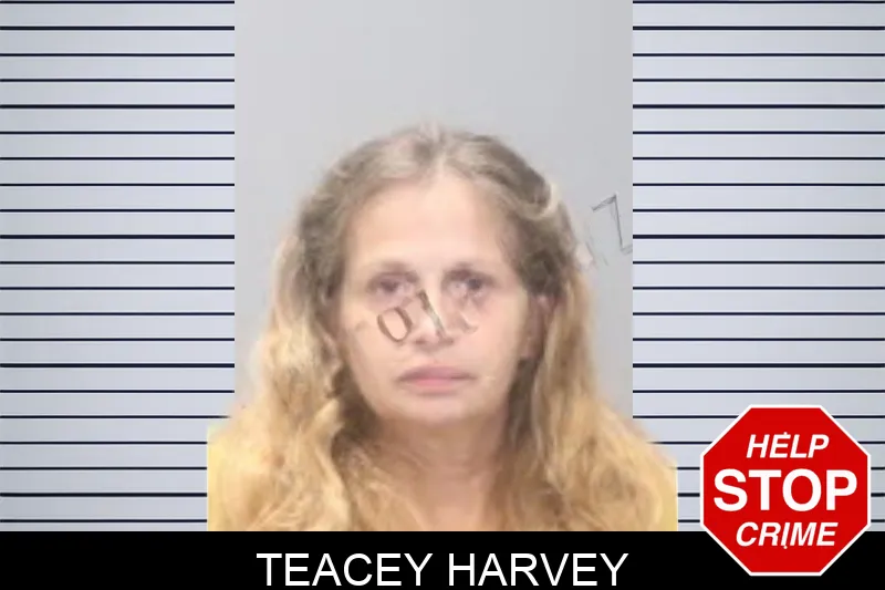 Teacey Harvey mugshot