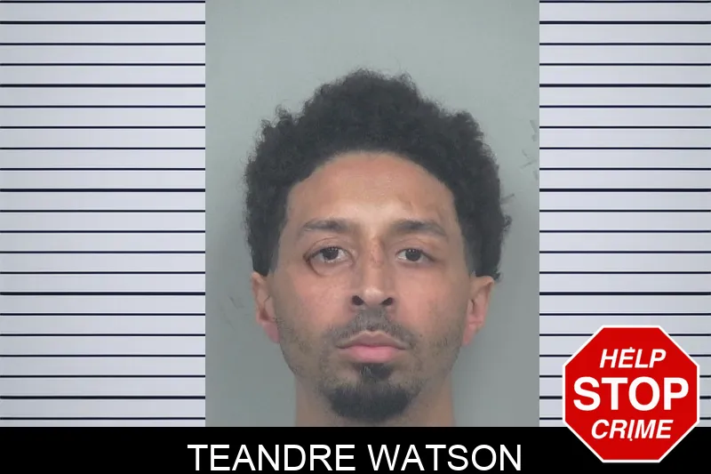 Teandre Watson mugshot