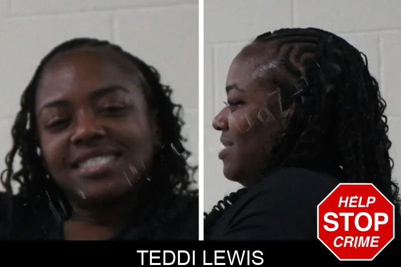 Teddi Lewis mugshot