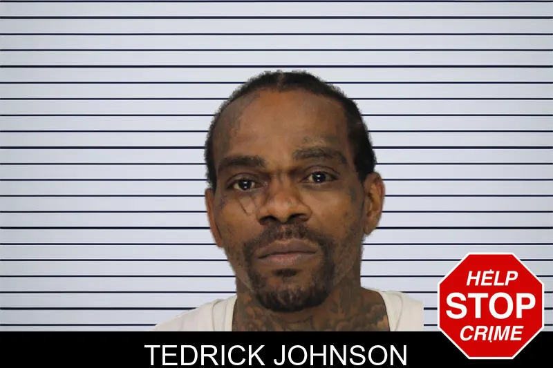 Tedrick Johnson mugshot
