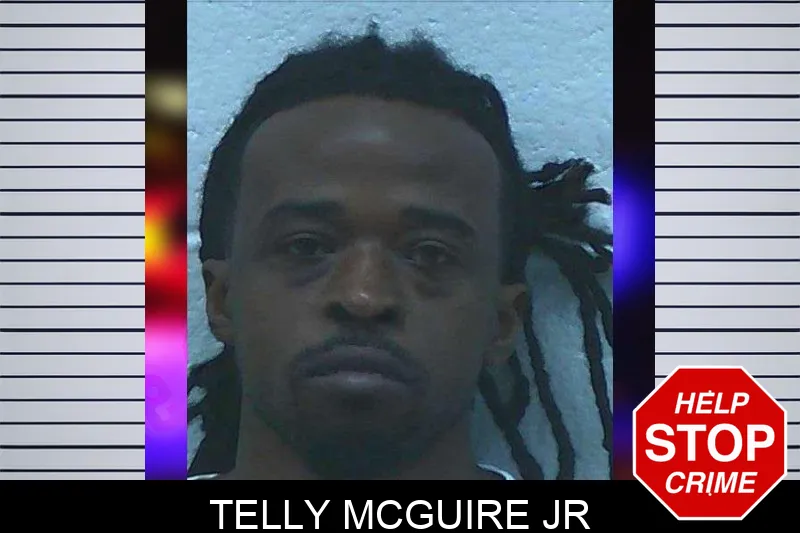 Telly McGuire Jr mugshot