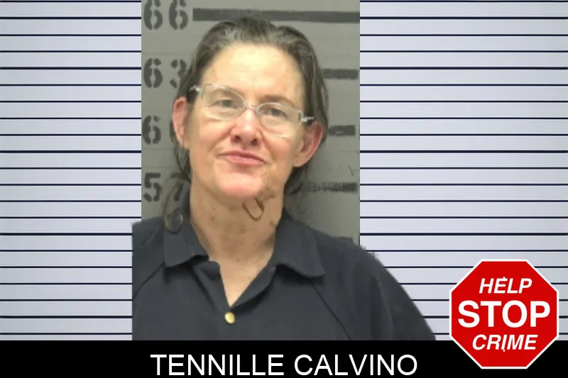 Tennille Calvino mugshot