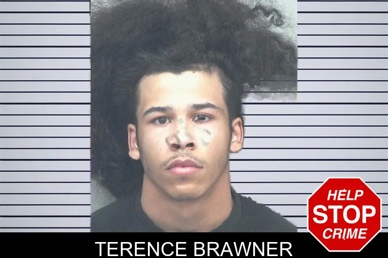 Terence Brawner mugshot