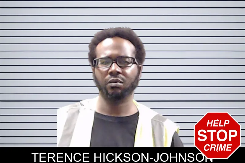 Terence Hickson-Johnson mugshot
