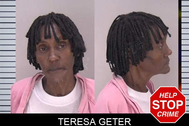 Teresa Geter mugshot