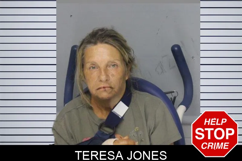 Teresa Jones mugshot