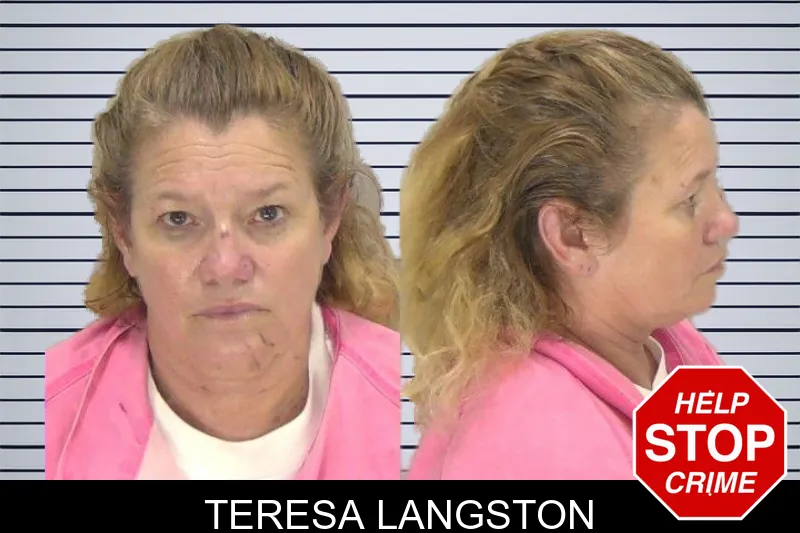 Teresa Langston mugshot