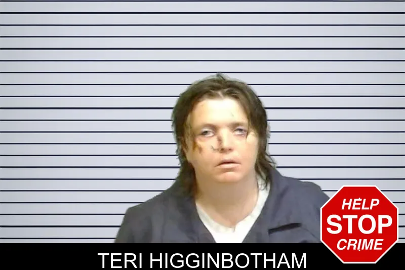 Teri Higginbotham mugshot