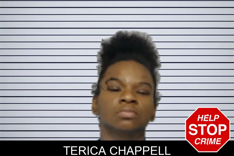 Terica Chappell mugshot