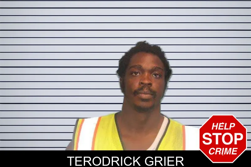Terodrick Grier mugshot