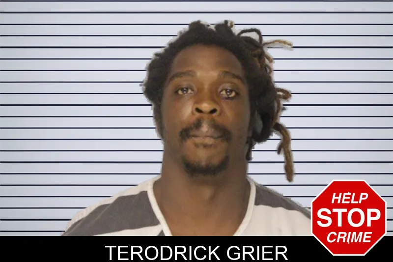 Terodrick Grier mugshot