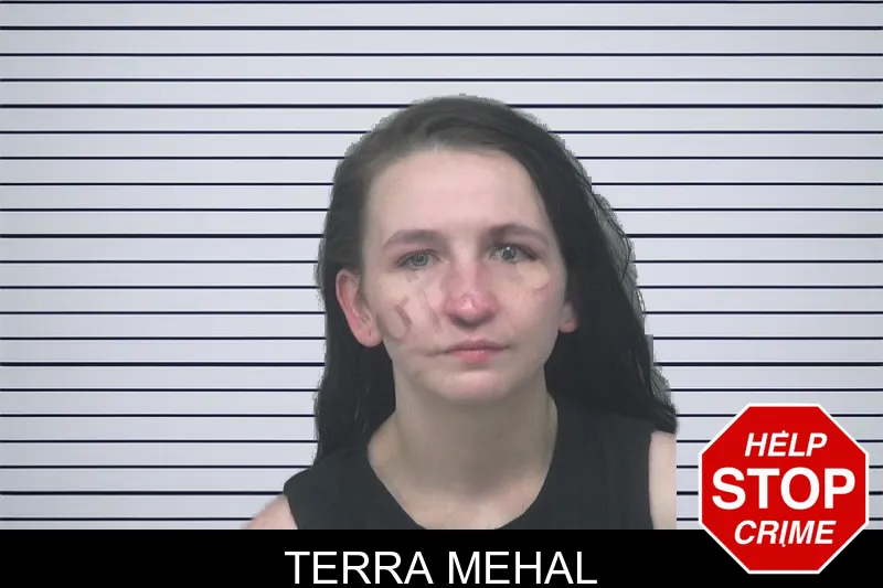 Terra Mehal mugshot