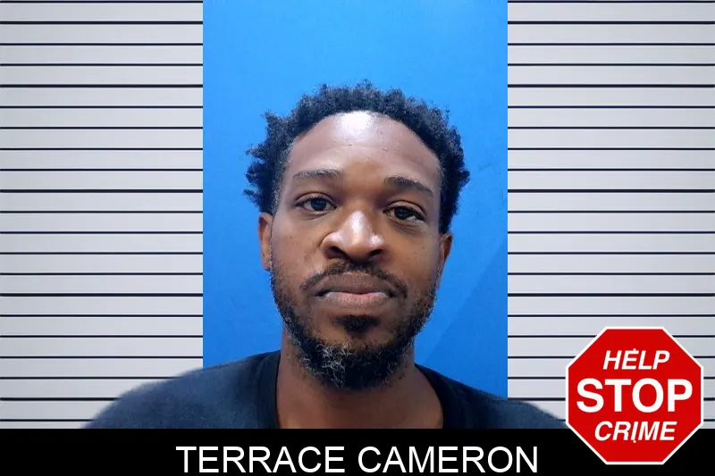 Terrace Cameron mugshot