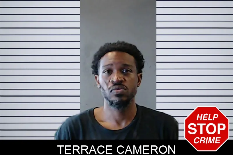 Terrace Cameron mugshot