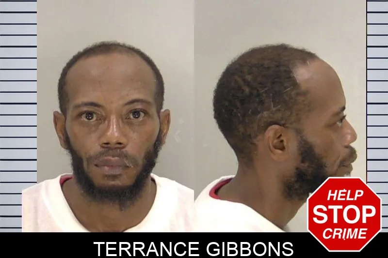 Terrance Gibbons mugshot
