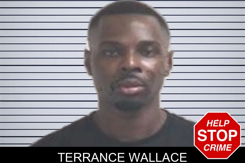 Terrance Wallace mugshot