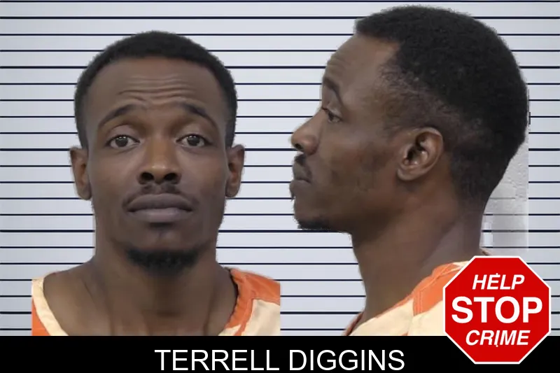 Terrell Diggins mugshot
