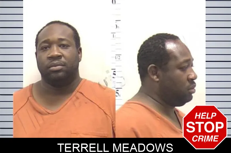 Terrell Meadows mugshot