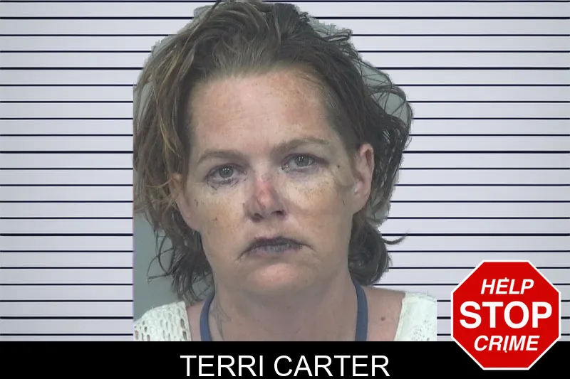 Terri Carter mugshot