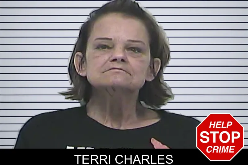 Terri Charles mugshot