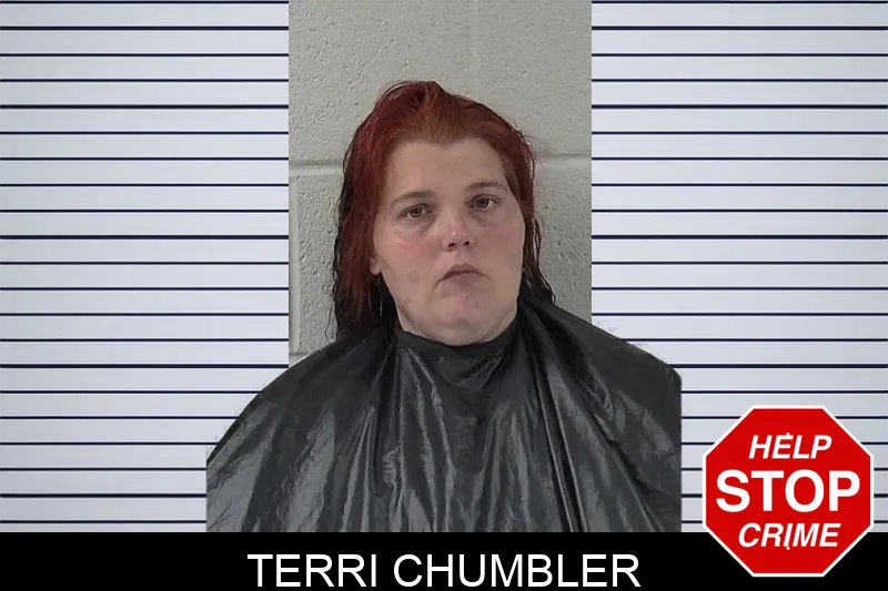 Terri Chumbler mugshot