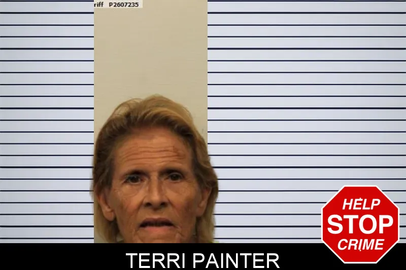 Terri Painter mugshot