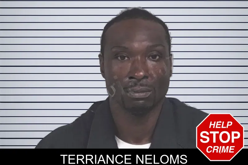 Terriance Neloms mugshot