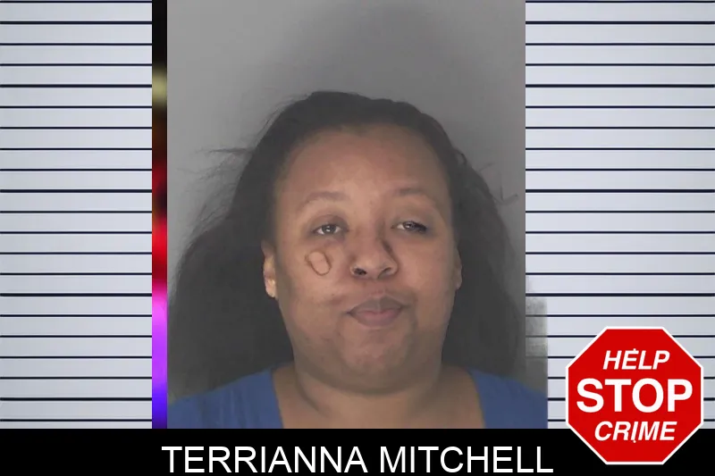 Terrianna Mitchell mugshot